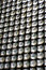 Free Shells Royalty Free Stock Photos - 6516338