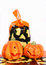 Free Trick Or Treat Stock Photography - 6518602