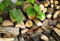 Free Woodpile. Fire Wood For The Furnace. Stock Images - 6520814