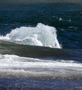 Free Ice Floe In The Sea Royalty Free Stock Photography - 6522117