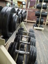 Free Gym Royalty Free Stock Photos - 6525688