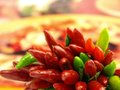 Free Chili Pepper And Hot Red Pepper Very Close Stock Photography - 6532132