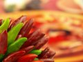 Free Chili Pepper And Hot Red Pepper Very Close Royalty Free Stock Photo - 6532255