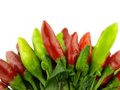 Free Chili Pepper And Hot Red Pepper Very Close Stock Photography - 6532392