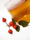 Free Hip Rose Tea Stock Image - 6534661