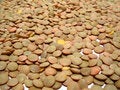 Free Lentil Stock Photo - 6535290