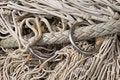 Free Netting Stock Images - 6537754