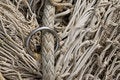 Free Netting Royalty Free Stock Photo - 6537755