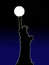 Free Statue Of Liberty At Night 1 Royalty Free Stock Image - 6530766