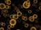 Free Fantasy Futuristic Global Objects Floating Royalty Free Stock Photography - 6531647