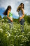 Free Two Girls On A Meadow Stock Photography - 6533812
