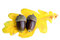 Free Acorns On Leaf Stock Image - 6539691