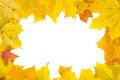 Free Autumnal Frame Royalty Free Stock Image - 6542776
