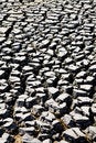 Free Arid Land No Water Royalty Free Stock Image - 6546326