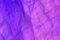 Free Satin Fabric Royalty Free Stock Photo - 6540145