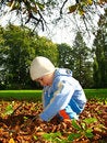 Free Little Boy Play Royalty Free Stock Photography - 6555727