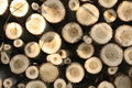 Free Logs Stock Photography - 6559332