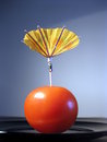 Free Tomato 2 Stock Photography - 6562412