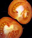 Free Half Of Tomato Vertical Royalty Free Stock Photography - 6562817
