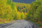 Free Autumn Road In Forest. Royalty Free Stock Photography - 6560137