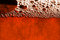 Free Grunge Orange Background With Water Bubbles Stock Photography - 6567862