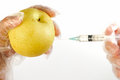 Free Genetically Modified Food 5 Stock Photo - 6574250