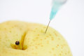 Free Genetically Modified Food 6 Stock Photography - 6574312