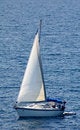 Free Sailing Yacht Royalty Free Stock Images - 6574379