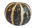 Free Pumpkin Isolation On White Stock Image - 6574811