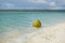 Free Coconut On A Deserted Beach Stock Image - 6571771
