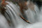 Free Branch In Icy Stream Royalty Free Stock Images - 6579149