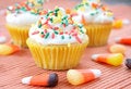 Free Fall Cupcakes Royalty Free Stock Image - 6582776