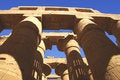 Free Karnak Temple In Egypt Royalty Free Stock Photos - 6583918