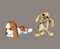 Free Puppy Stock Photos - 6580743