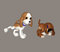 Free Puppy Stock Images - 6580744