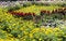 Free Flower Land Royalty Free Stock Photos - 6587858