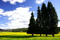 Free Pure Sky, Pure Meadow (2) Royalty Free Stock Photos - 6594638