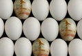 Free Gem Eggs Among Chicken Eggs Stock Photography - 6597232