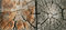 Free Double Weathered Wood Grain Royalty Free Stock Photo - 6591445