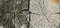 Free Old Wood Texture Stock Image - 6591461