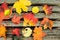 Free Leaves On A Bench Stock Images - 6597534