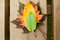Free Leaves On A Bench Stock Photos - 6599793