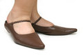 Free Pointy Ladies Shoes Stock Photos - 660003