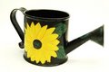 Free Watering-can Royalty Free Stock Photos - 664218