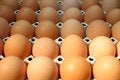 Free Eggs In Box Royalty Free Stock Photography - 666537