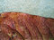 Free Autumn Leaf Detail Royalty Free Stock Photos - 664398