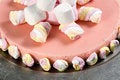 Free Marshmallow Cheese Cake Royalty Free Stock Photos - 6608538