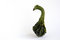 Free Bumpy Squash Stock Images - 6600774