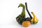 Free Different Shaped Gourds Stock Photography - 6600792