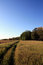 Free Path Through Grass Royalty Free Stock Photos - 6603228